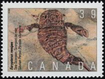 Eurypterus remipes, Sea Scorpion, Silurian Period