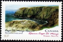 Cape St. Mary's Reserve, Newfoundland