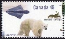 Mountain, Baffin Island, Polar Bear and Caribou