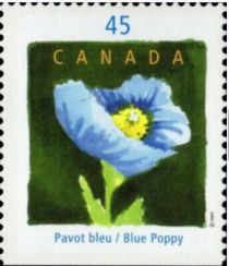 Blue Poppy (Meconopsis grandis) - Imperf Bottom