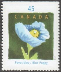 Blue Poppy (Meconopsis grandis) - Imperf Top