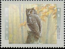 Eastern Screech-Owl (Megascops asio)