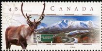 Dempster Highway, Yukon and Caribou (Rangifer tarandus)