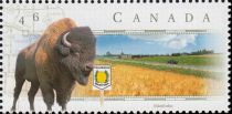 Yellowhead Highway, Manitoba - American Bison (Bos bison)