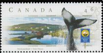 Discovery Trail, Newfoundland - Whale Fin