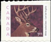 White-tailed Deer (Odocoileus virginianus) - booklet stamp