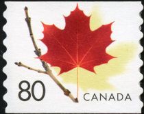 Maple Leaf Definitive