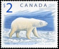 Polar Bear (Ursus maritimus)