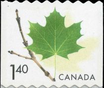 Maple Leaf - Reprint