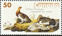 Willow Ptarmigan (Lagopus lagopus)