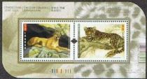 Cougar (Felis concolor), Amur Leopard (Panthera pardus orien