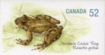 Northern Cricket Frog (Acris crepitans)