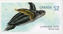 Leatherback Sea Turtle (Dermochelys coriacea)