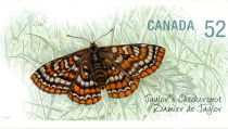 Taylor's Checkerspot (Euphydryas editha taylori)