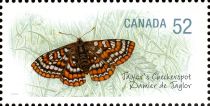 Taylor's Checkerspot (Euphydryas editha taylori)