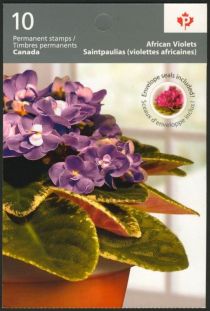 African Violets - Booklet