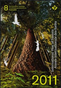 International Year of Forests - Booklet