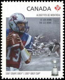 Montreal Alouettes. The Ice Bowl (1977) 65th Grey Cup