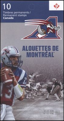 Montreal Alouettes. The Ice Bowl (1977) 65th Grey Cup