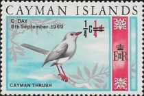 Cayman Thrush (Turdus ravidus)