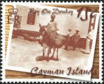 Boy on donkey