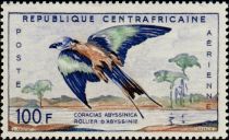 Abyssinian Roller (Coracias abyssinica)