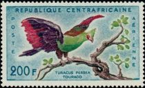 Guinea Turaco (Turacus persea)