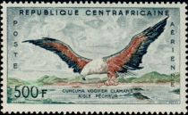 African Fish-eagle (Cuncuma vocifer clamans)