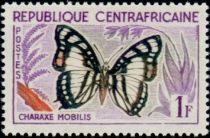 Noble White Charaxes (Charaxes nobilis)