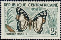 Noble White Charaxes (Charaxes nobilis)