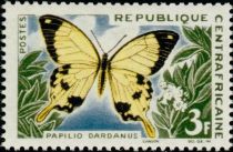 African Swallowtail (Papilio dardanus)