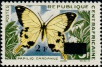 African Swallowtail (Papilio dardanus)