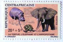 Elephant, Turtle & Hippopotamus