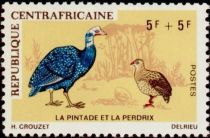 Crested Guinea Fowl (Guttera pucherani), Scaly Francolin (Pt