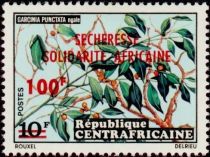 Garcinia punctata, overprint