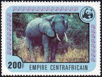 African Elephant (Loxodonta africana)