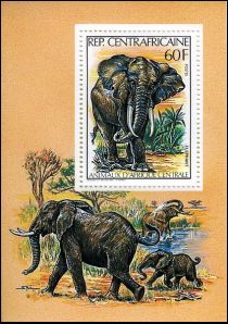 African Elephant (Loxodonta africana)