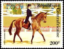 Horse Show, Dressage (Equus ferus caballus)