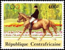 Horse Show, Dressage (Equus ferus caballus)