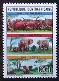 African Elephant (Loxodonta africana)