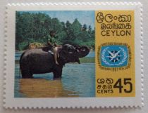 Tourist on an Asian Elephant (Elephas maximus)