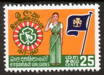 Girl guide, badge & international scouting flag