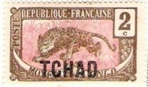 Leopard (Panthera pardus) overprint