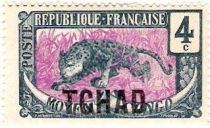 Leopard (Panthera pardus) overprint