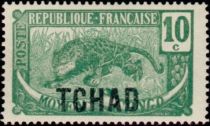 Leopard (Panthera pardus) overprint