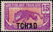 Leopard (Panthera pardus) overprint