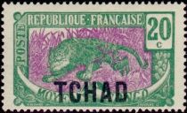 Leopard (Panthera pardus) overprint