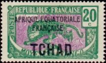 Leopard (Panthera pardus) overprint