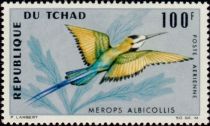 White-throated Bee-eater (Merops albicollis)