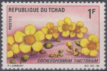 Cochlospermum tinctorium